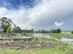 Taralla Wetlands after heavy rain