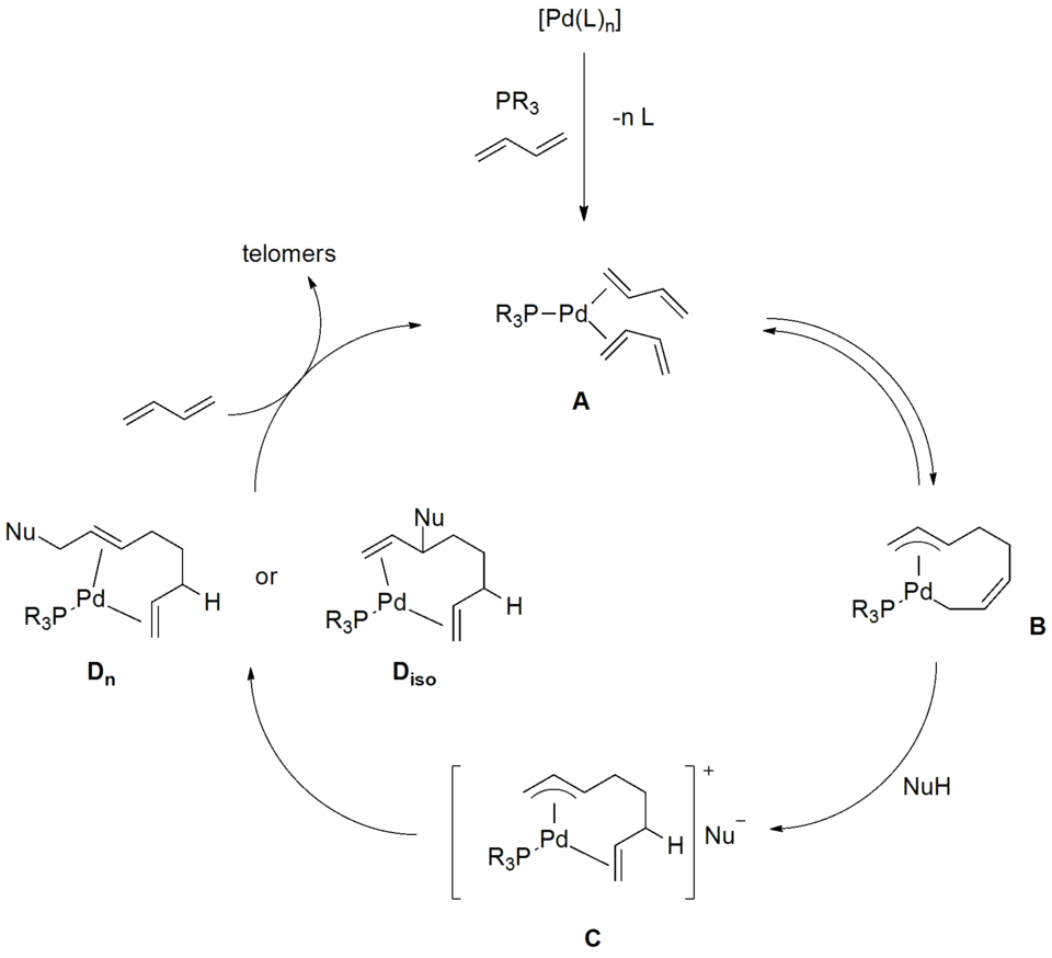 Catalytic cycle of the Palladium/Phosphine-catalyzed telomerization of 1,3-butadiene with a nucleophile NuH