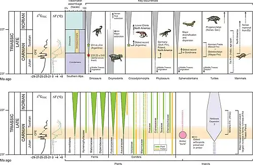 Some of the major biological changes[8]