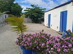 The Thirteen Islands of St Brandon - Images of Île Raphael, Cargados Carajos in Mauritius