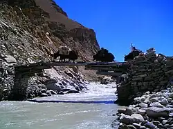 Complex Tibetan log bridge made of multiple logs (a cantilever bridge)