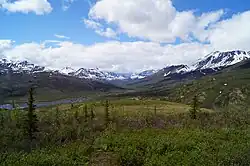 Mt. Tombstone in Tombstone Territorial Park