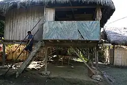 Traditional house (2009)