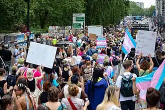 a large group of protestors with signs, many holding the trans pride flag