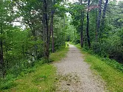 A rail trail on an embankment in a wooded area