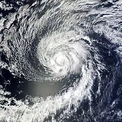 A photograph of a tropical storm over the Eastern Pacific Ocean. It has tightly-wound spiral bands, but the convection near the center is broken. A large arc of high clouds is fanning out to the west, north, and northeast of the storm.