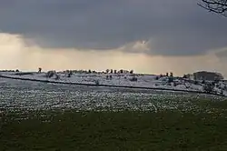 Bowl barrow 550 m south of Bristol Plain Farm: part of a linear round barrow cemetery