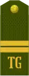Kiçi seržant (Turkmen Ground Forces)[16]