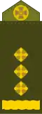 Ukraine (polkovnik/полковник)