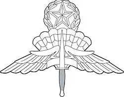 US Military Master Free Fall Parachutist Badge