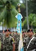 Guatemalan paratroopers from the Parachute Brigade wearing the Ephod Combat Vest parade in Puerto San José, Guatemala, 30 June 2011.