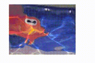 Video i: Morph-Cube showing a fish, which changes if the onlooker moves, 2005, 21 x 21 x 21&nbsp;cm