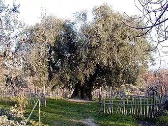 Canneto Sabino, Italy