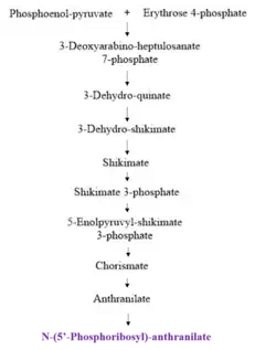 Fig. 2: Upstream* Pathway of Tryptophan Synthesis