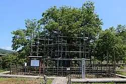 A large mulberry tree - Usune no O-Kuwa - in Usune