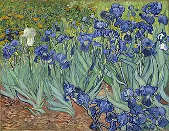 Vincent van Gogh, Irises, 1889