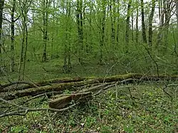 Church at the Greek Catholic cemetery