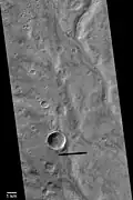 Warrego Valles, as seen by Mariner 9. This image suggests that rain/snow was necessary to form this kind of branched network of channels.