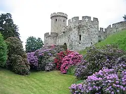 Clarence and Bear Towers, with Guy's Tower behind