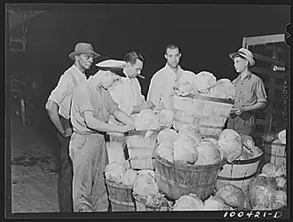 District grocery Store warehouse – Produce