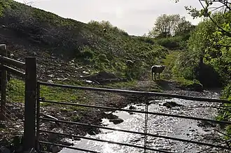 Headwaters in Treborough