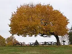Distinctive picnic spot, west side