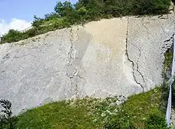 Ripple beds in the Wren's Nest National Nature Reserve, Dudley, England