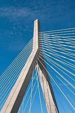 Detail of the cabling and tower on the bridge
