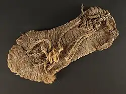 Sandal from 700 to 1100. Source: National Park Service