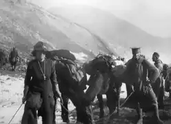 Horse artillery unit