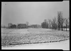 A black-and-white photograph of a cornfield in the foreground and farm buildings in the background during Winter.