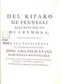 Del riparo de' pennelli alle rive del Po di Cremona, 1758