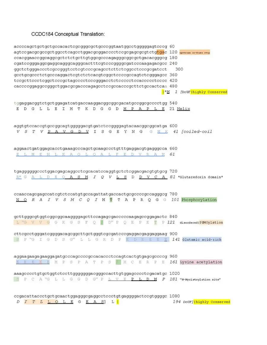 Annotated Conceptual translation for human CCDC184 protein.